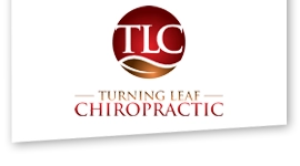 Chiropractic Lakeville MN Turning Leaf Chiropractic